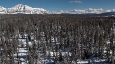 Donmuş gölün yanından geçen karla kaplı arazide geriye doğru uçmak