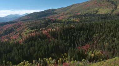 Utah Güz sırasında renkli yeşillik görüntüleme dağ vadisi üzerinde geriye doğru uçan.