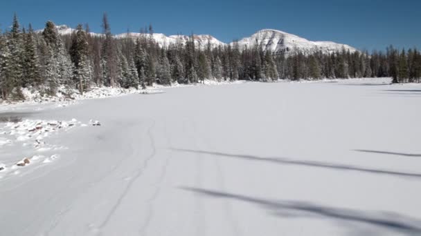 Flying Low Frozen Lake Rising Snow Covered Forest Uinta Mountains — Stock Video