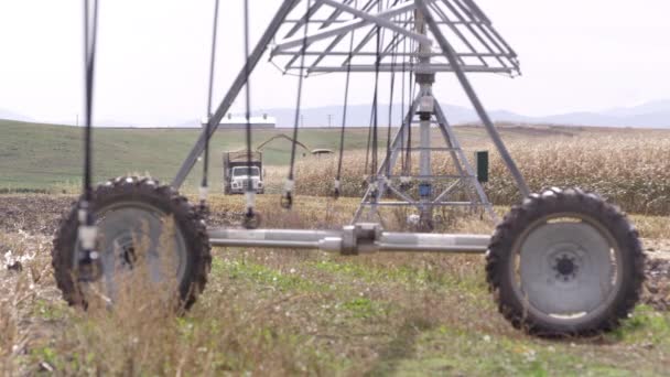 収穫中のトウモロコシ畑で揺れるスプリンクラーの眺め — ストック動画