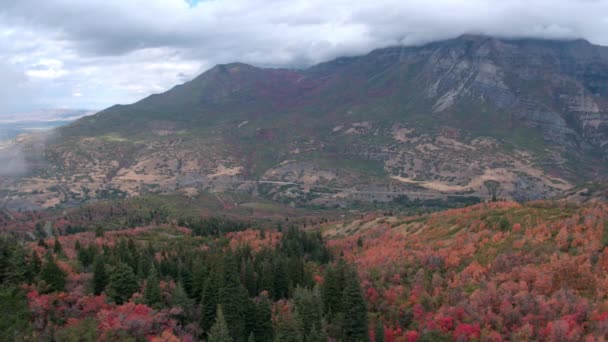 ユタ州の山々を見る松の木の周りのカラフルな葉の航空写真 — ストック動画