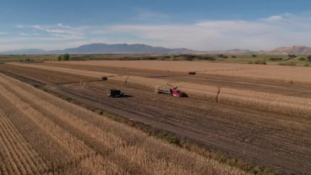 Vue Aérienne Survoler Combiner Camion Chargement Dans Champ Maïs Pendant — Video