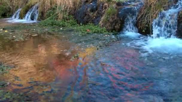 Fall Gebladerte Gloeien Water Van Kleine Waterval Cascade Springs Utah — Stockvideo