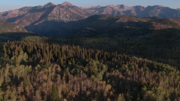 Vista Aérea Cor Queda Sobre Floresta Colorida Nas Montanhas Utah — Vídeo de Stock