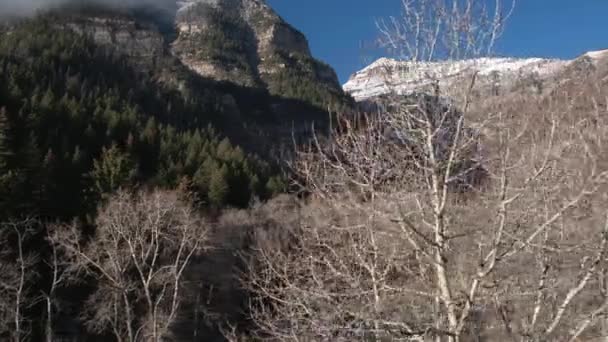 Vista Panorámica Las Montañas Cubiertas Nieve Vista Través Árboles Sin — Vídeo de stock