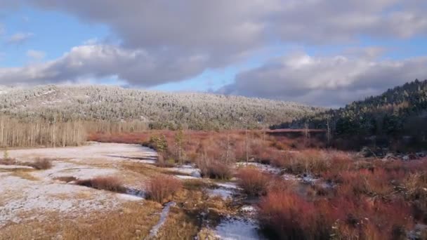 Letecký Pohled Plující Přes Barevnou Sněžnou Krajinu Slunečného Dne Velkými — Stock video