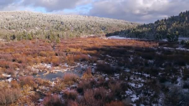 Vue Montante Sur Les Paysages Colorés Entourés Par Forêt Enneigée — Video