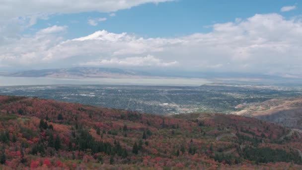 Aerial View Flying Backwards Colorful Foliage Viewing Lake City Utah — Stock Video