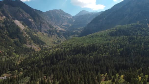 Вид Высоты Птичьего Полета Зеленый Лес Горах Юты — стоковое видео
