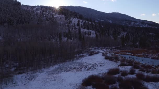 Voando Sobre Paisagem Nevada Como Sol Brilha Através Topos Árvores — Vídeo de Stock