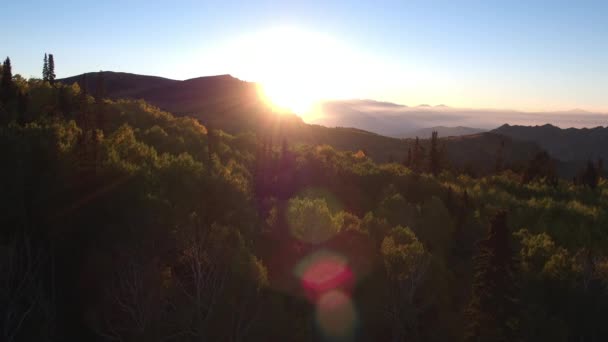 Aerial View Forest Sun Setting Fall Utah — Stock Video