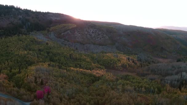 Veduta Aerea Del Colore Autunnale Sulla Foresta Colorata Nelle Montagne — Video Stock