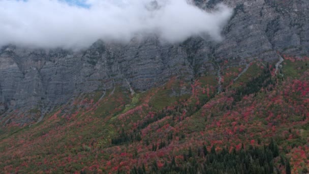 鸟在五颜六色的树叶上飞向云峰的悬崖 — 图库视频影像