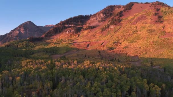 Vista Aérea Del Color Otoño Sobre Colorido Bosque Las Montañas — Vídeos de Stock