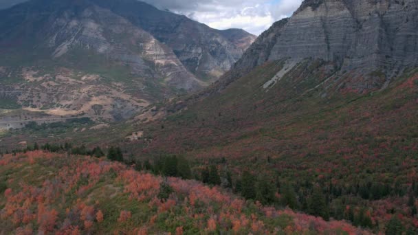 Vue Aérienne Descendant Vers Flanc Coloré Colline Pendant Automne Dans — Video