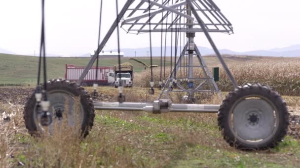 Weergave Van Sprinklers Swingen Cornfield Als Trucks Rijden Achtergrond — Stockvideo