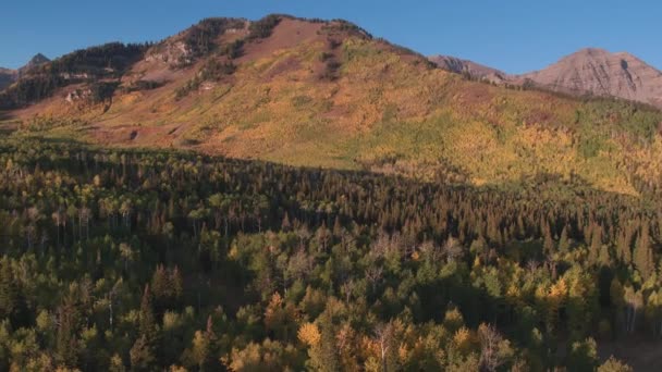 산맥의 다채로운 색상의 — 비디오