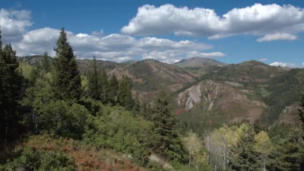 Flygvy Flyga Genom Tallar Och Visa Landskapet Utah Mountains — Stockvideo