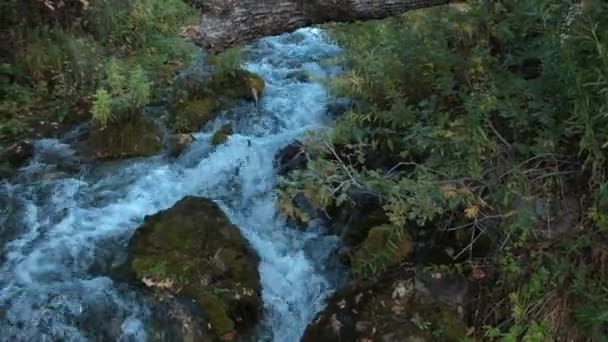 ユタ州の山々の渓谷を流れる緑の葉に囲まれた速く流れる流れ — ストック動画