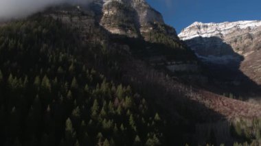 Sundance Utah yakınlarındaki dağ tarafında çam ağaçlarının yükselen havadan görünümü.