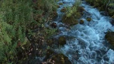 Utah dağlarında renkli orman üzerinde Sonbahar renk havadan görünümü.