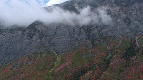 在高耸的悬崖底部 在顶部盘旋着低云的五颜六色的树叶鸟图 — 图库视频影像
