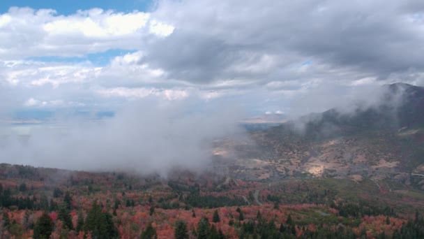 Vue Aérienne Panoramique Jusqu Feuillage Coloré Par Temps Nuageux Utah — Video