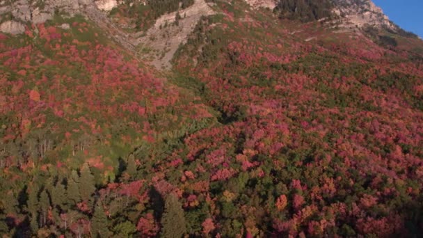 Vista Panorâmica Aérea Folhagem Colorida Crescendo Montanha Utah — Vídeo de Stock