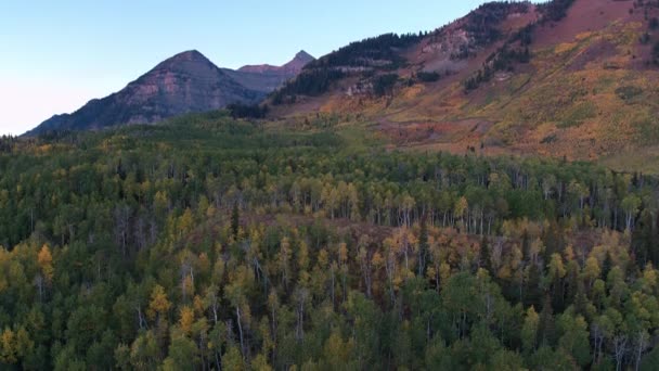 Vista Aérea Cor Queda Sobre Floresta Colorida Nas Montanhas Utah — Vídeo de Stock