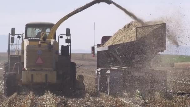 Combineren Cornfield Vrachtwagen Vullen Als Wind Waait — Stockvideo