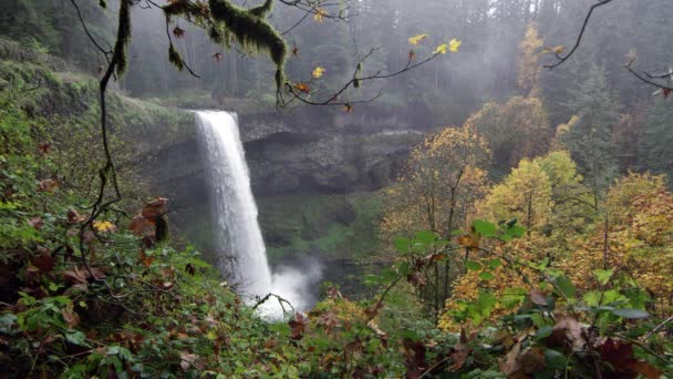 Мальовничий Водоспад Оточений Моховий Листям Восени Срібному Водоспаді State Park — стокове відео