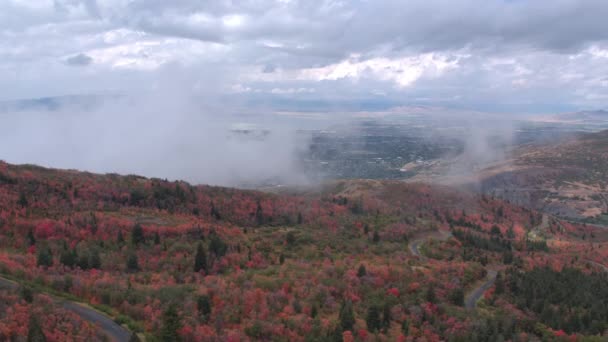 Vue Aérienne Feuillage Coloré Avec Route Serpentant Travers Les Arbres — Video