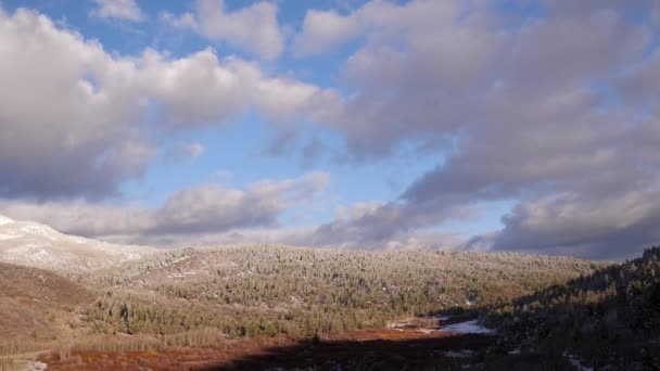 Вид Воздуха Летящий Заснеженному Лесу Видны Большие Облака Небе — стоковое видео