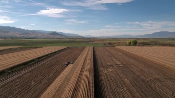 Luchtfoto Vliegen Achteruit Bekijken Combineren Laden Vrachtwagen Tijdens Oogst — Stockvideo