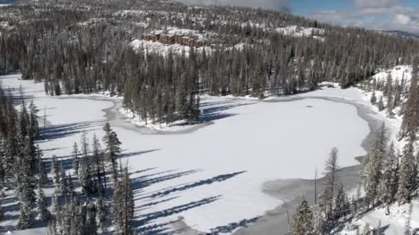 冬季被雪覆盖的森林和湖泊的鸟瞰图 — 图库视频影像