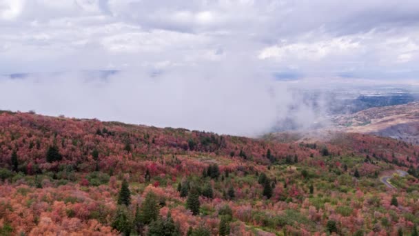 Vue Aérienne Feuillage Coloré Éloignant Des Nuages Montants Bas Dans — Video