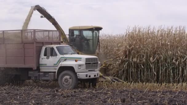 平移视图的组合和卡车驾驶下来的玉米收获的老秸秆 — 图库视频影像