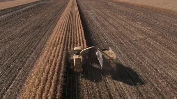 Vista Aérea Del Camión Carga Combinado Campo Maíz Volando Pasado — Vídeo de stock