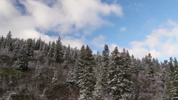 Schwenkblick Auf Weiße Wolken Blauen Himmel Über Verschneiten Wäldern Den — Stockvideo
