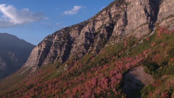 Pemandangan Udara Dari Dedaunan Berwarna Warni Tumbuh Sisi Gunung Utah — Stok Video