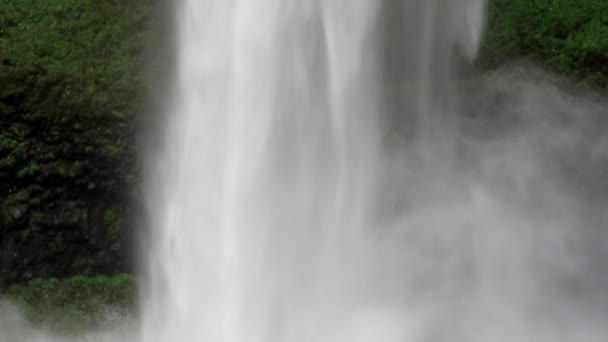 パンショットは 水中にクラッシュした滝の基部から始まり その後 シルバーフォールズ州立公園の滝の頂上に向かって上方にパンする オレゴン — ストック動画