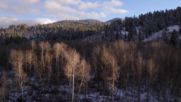 Flug Über Gefrorenen Teich Richtung Verschneiten Wald Berghang — Stockvideo