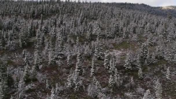 Vue du flanc de colline couvert de forêt en hiver descendant vers le sol pendant que la voiture passe devant .