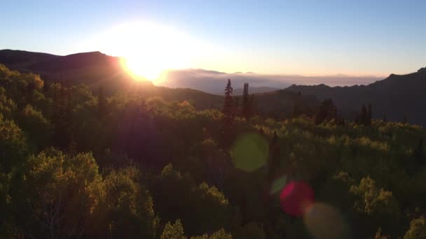 Luftaufnahme Über Baumkronen Während Die Sonne Herbst Utah Untergeht — Stockvideo