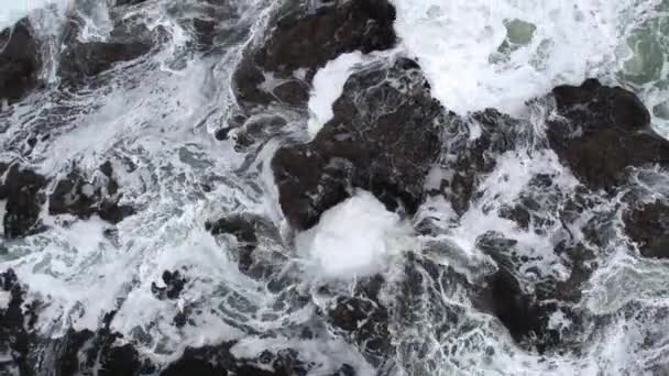 Vista Aérea Thors Bem Chupando Água Costa Rochosa Oregon — Vídeo de Stock