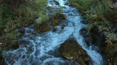 Utah dağlarında bir kanyon aşağı akan yeşil yapraklar ile çevrili hızlı hareket eden dere.