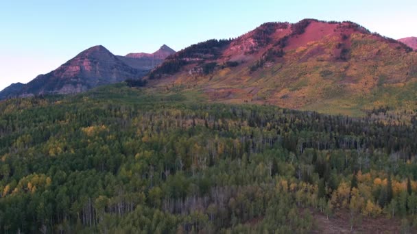 Vue Aérienne Couleur Automne Sur Forêt Colorée Dans Les Montagnes — Video