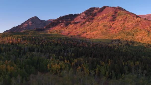 Vista Aérea Cor Queda Sobre Floresta Colorida Nas Montanhas Utah — Vídeo de Stock