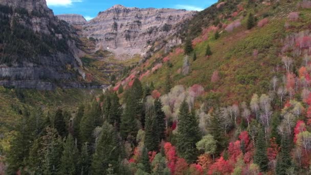 ユタ州の秋の間に山に向かって飛ぶ航空写真 — ストック動画