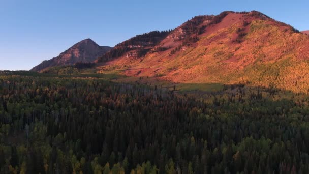 Vista Aérea Cor Queda Sobre Floresta Colorida Nas Montanhas Utah — Vídeo de Stock